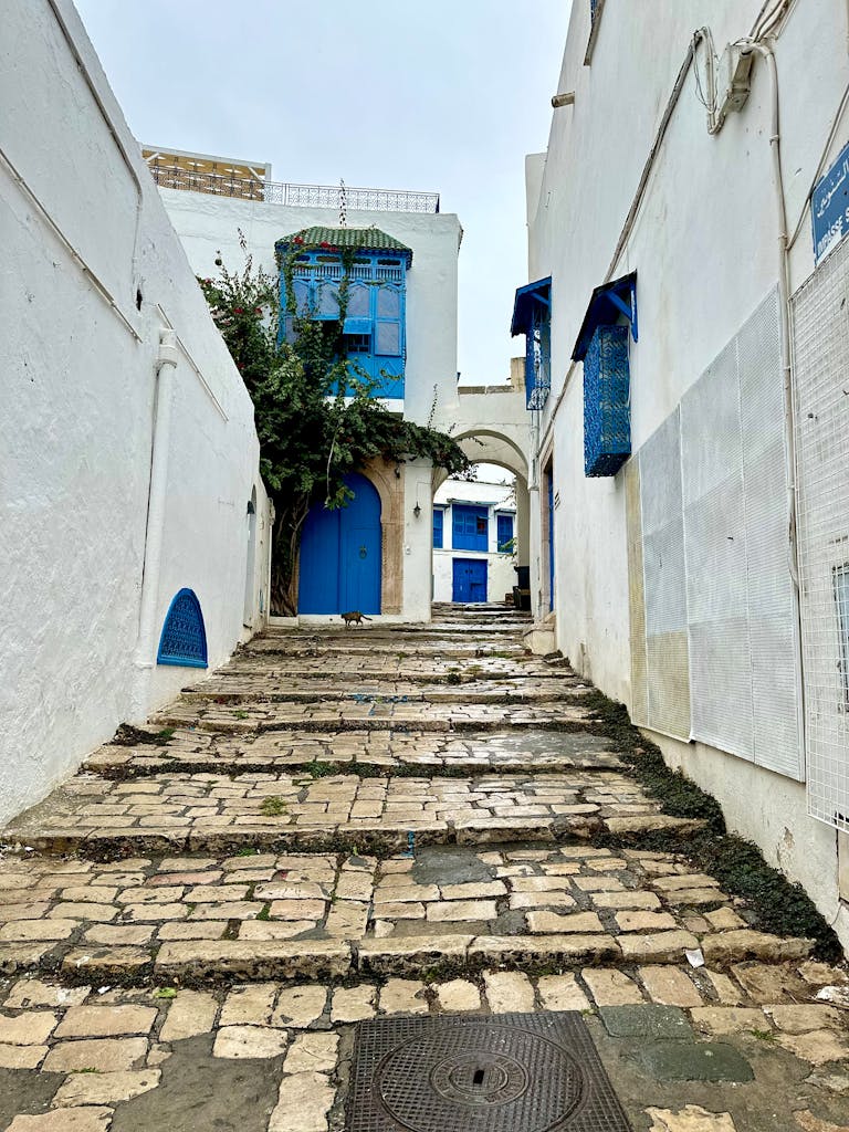 Serene alley in Carthage with traditional blue and white architecture and cobblestone steps.
