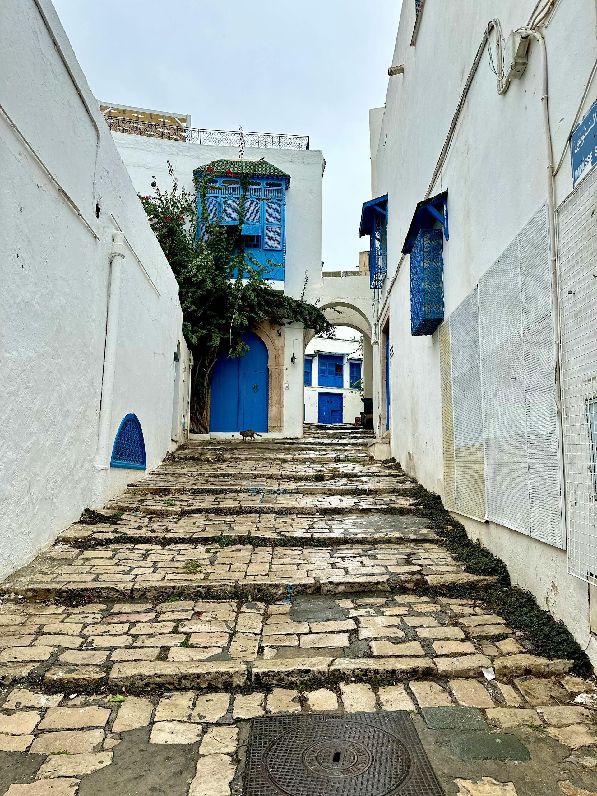 Serene alley in Carthage with traditional blue and white architecture and cobblestone steps.